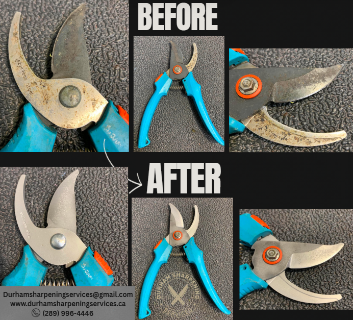Blue-handled bypass pruners – before and after sharpening