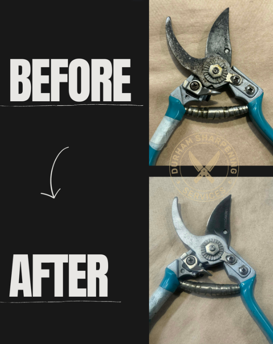 Bypass pruners – before and after sharpening