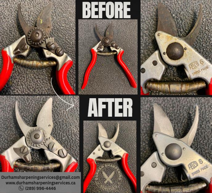 Felco 6 pruners – before and after sharpening